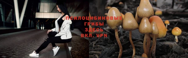 ALPHA-PVP Богородицк