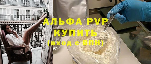шишки Белокуриха