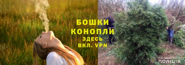 ALPHA-PVP Богородицк