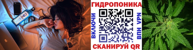 Каннабис гибрид  Вельск 